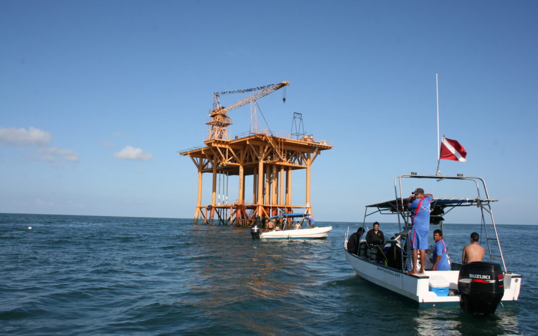 Plataforma Tiburón, El buceo que todos deben hacer una vez en la vida